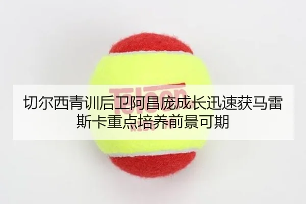 切尔西青训后卫阿昌庞成长迅速获马雷斯卡重点培养前景可期